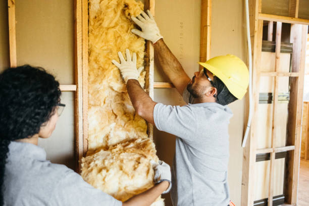 Insulation Replacement Services in Valley Grande, AL